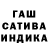 Каннабис семена Sasha Fanat