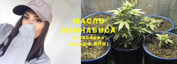 индика Бутурлиновка