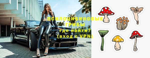 стаф Мегион