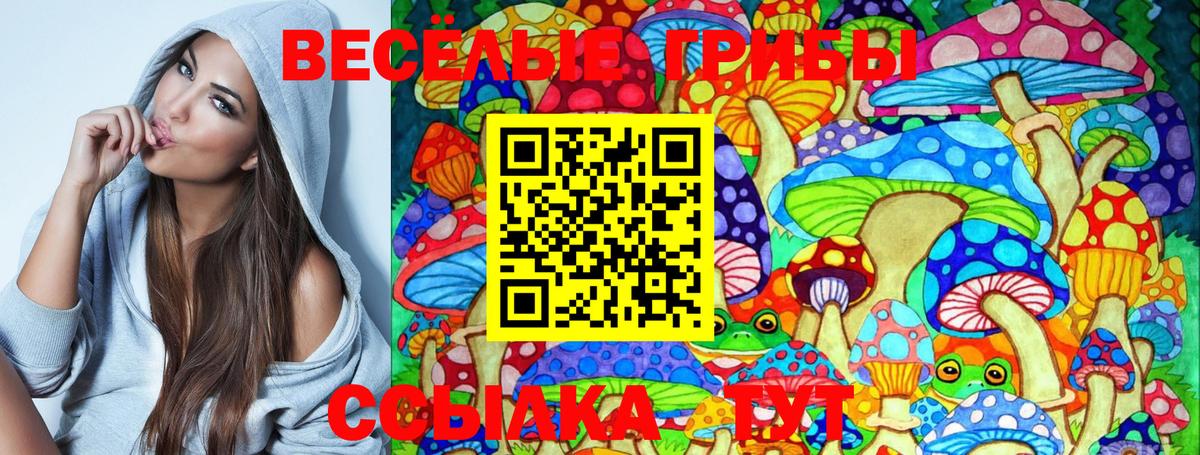 Галлюциногенные грибы MAGIC MUSHROOMS  Вход с VPN  Галлюциногенные грибы Magic Shrooms  Зерноград 