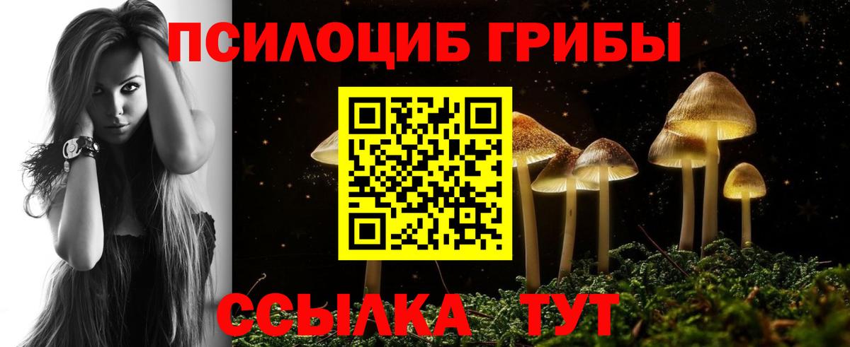 Галлюциногенные грибы Cubensis Зерноград