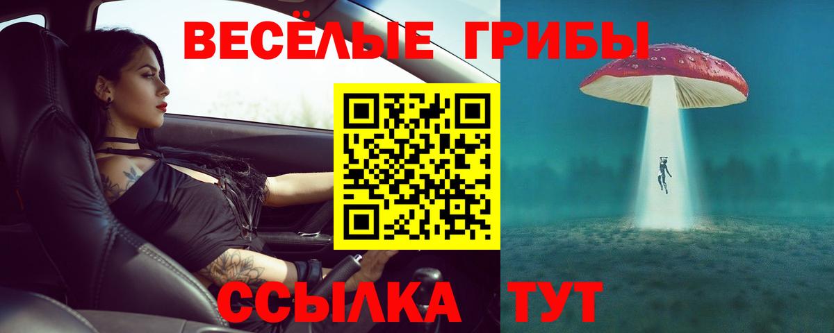 Псилоцибиновые грибы мицелий Зерноград